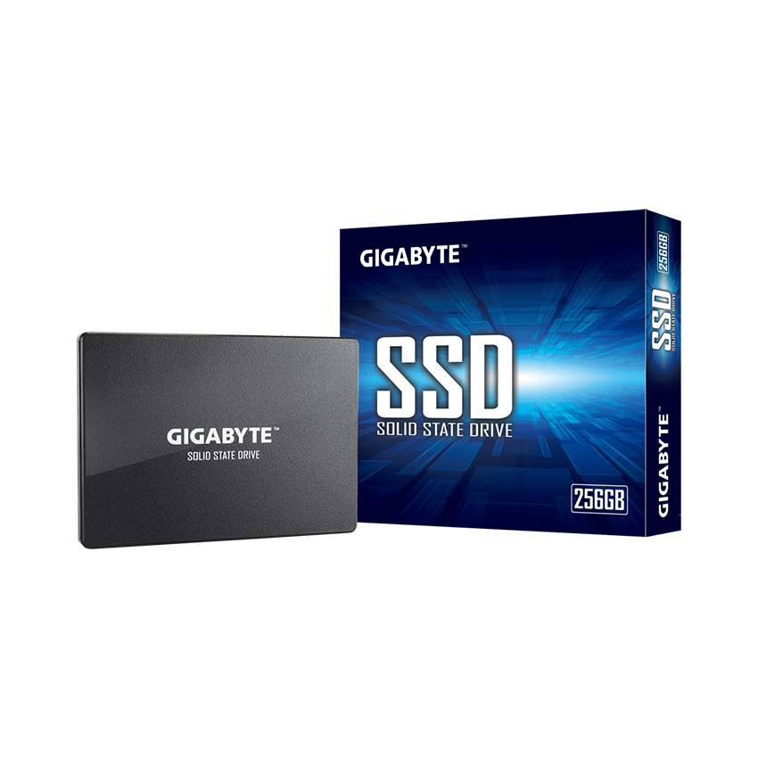 Ổ cứng Gigabyte SSD 256GB SataIII (GP-GSTFS31256GNTD)