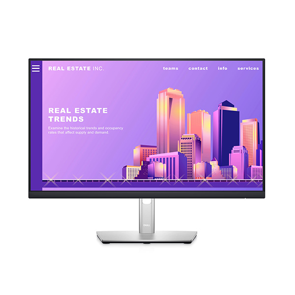 Màn Hình Dell P2422H (23.8 inch - FHD - IPS - 60Hz - 5ms - DisplayPort - HDMI - VGA)