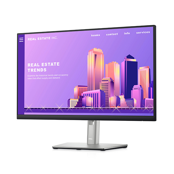 Màn Hình Dell P2422H (23.8 inch - FHD - IPS - 60Hz - 5ms - DisplayPort - HDMI - VGA)